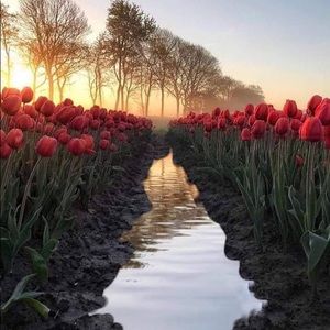 Meet your Posher, Sabrina